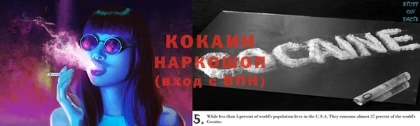 дживик Краснослободск