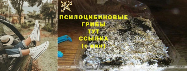 бутират Алзамай