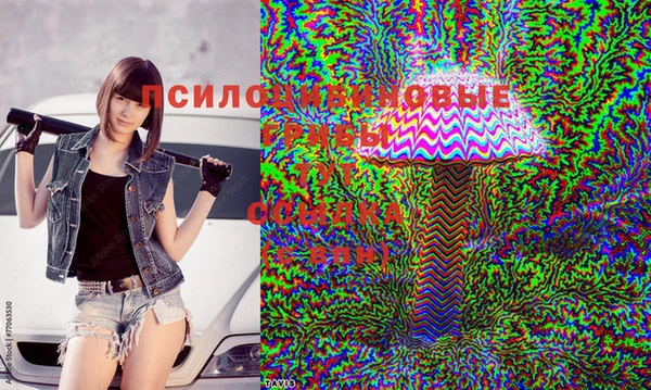 бутират Алзамай