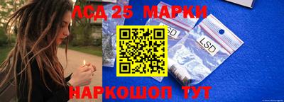 ГАЛЛЮЦИНОГЕННЫЕ ГРИБЫ Бердск