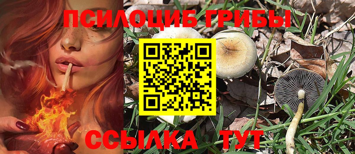 Галлюциногенные грибы Magic Shrooms  Вход с VPN  Бердск 
