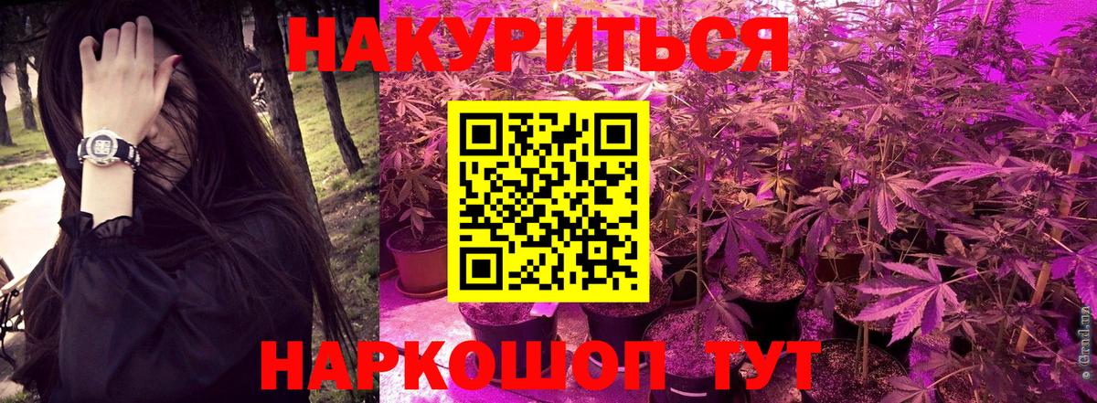 МАРИХУАНА семена  Вход с VPN  Бошки Шишки OG Kush  Каннабис планчик  Бердск 